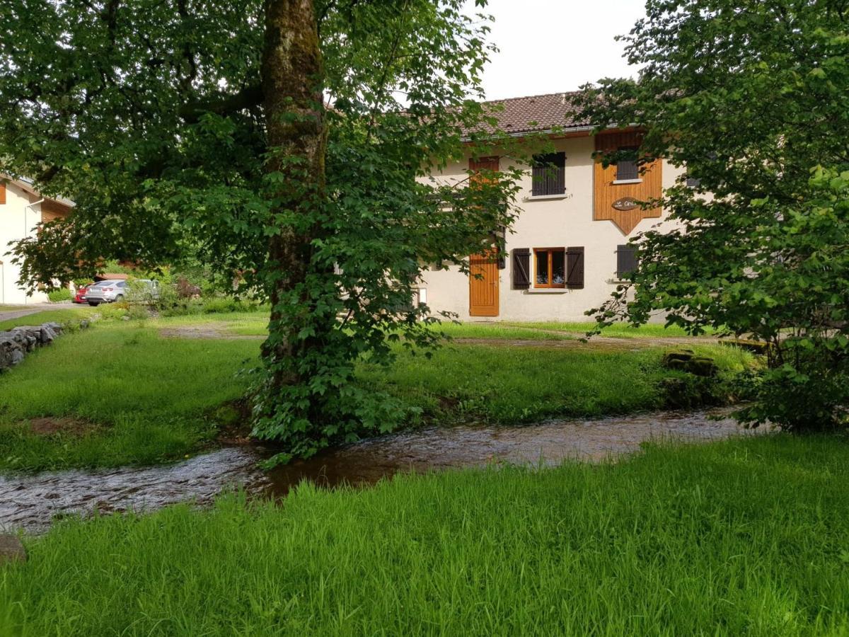Appartement 'Les Airelles du Lac' T2 Gérardmer Extérieur photo